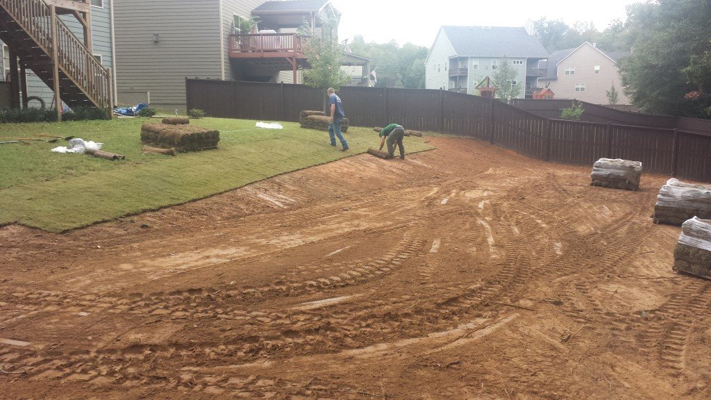 Basile Yard Makeover (4)